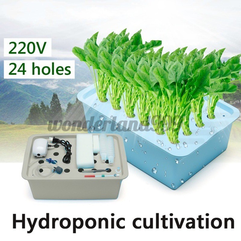 24孔水培系統種植箱無土植物栽培場地套件2v 蝦皮購物