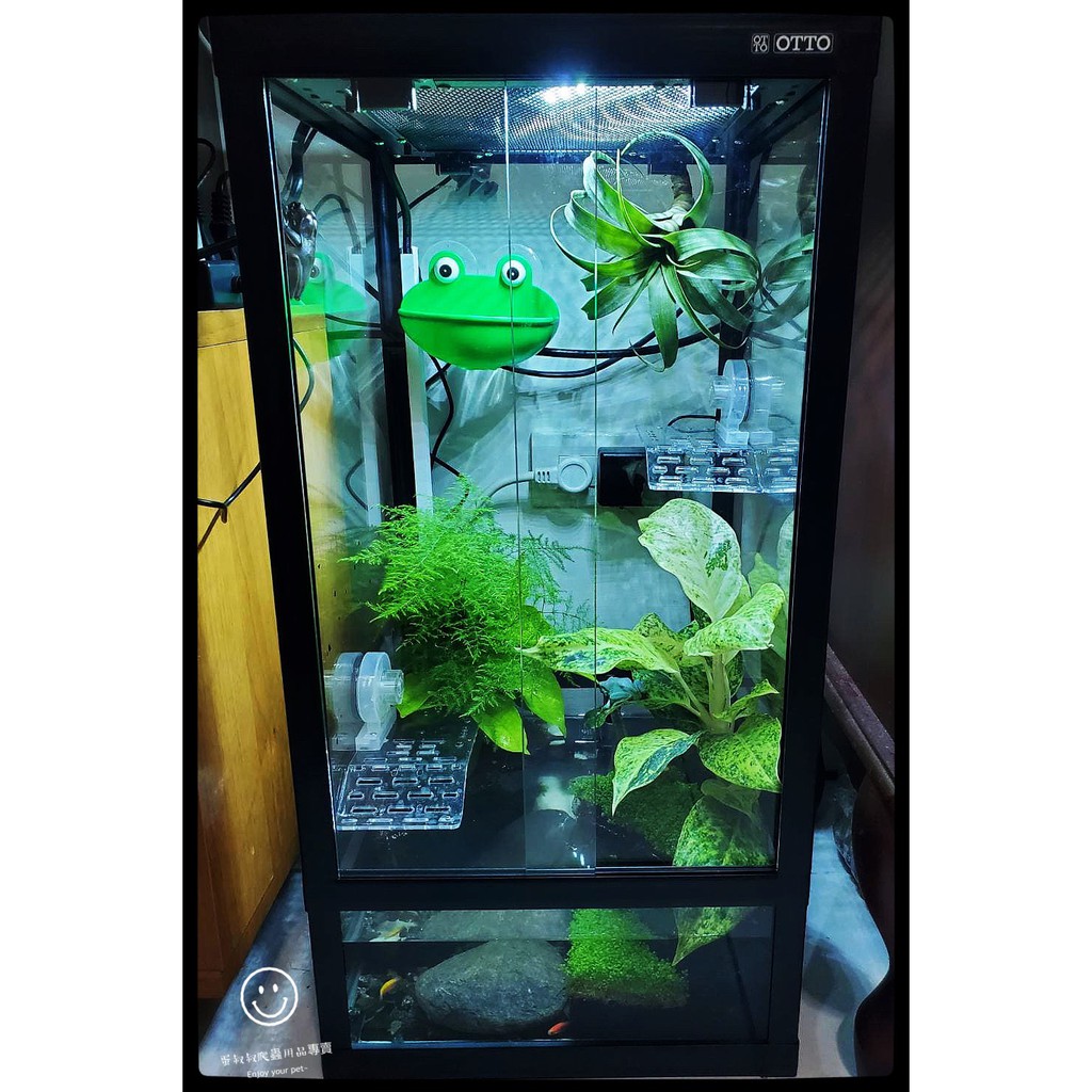 蛋叔叔 免運費 Otto 全玻璃寵物爬蟲缸 90cm 3尺 變色龍 爬蟲箱 甲蟲箱 鬆獅蜥 睫角守 蜜袋鼯 爬缸 樹巨 蝦皮購物