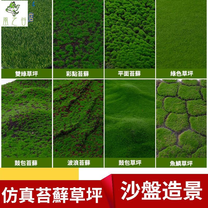 風之谷 仿真苔蘚青苔模型草坪植物人造草青苔裝潢櫥窗造景假苔蘚草皮盆景 蝦皮購物