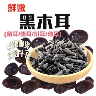 【參大王】幼嫩黑木耳 100g/組「野山嬌嫩又Q脆 涼拌炒菜甜湯創意料理 黑幼耳 川耳 碗耳 雲耳 小木耳 貓耳 鼠耳」