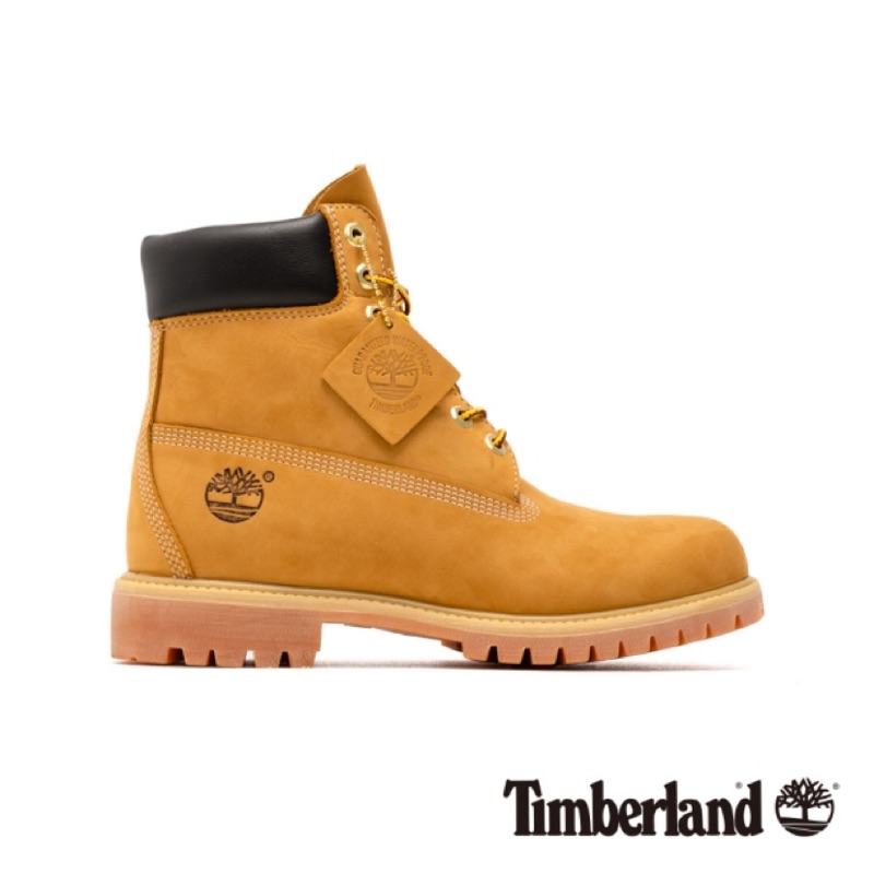 Timberland 6吋經典防水黃靴