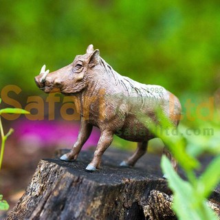 [美國Safari] 100512 疣豬模型