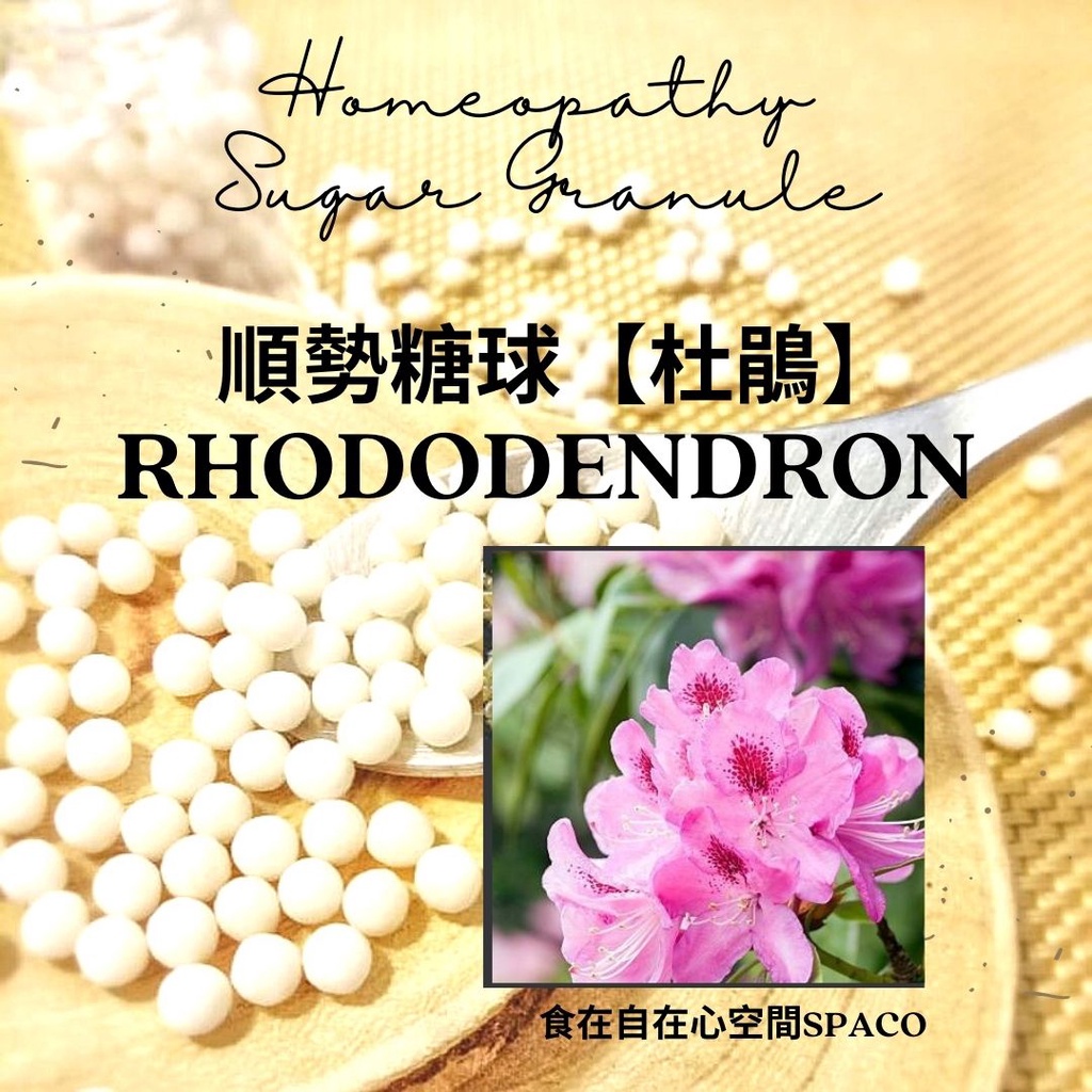 順勢糖球【杜鵑 Rhododendron】 Homeopathic Granule 9克 食在自在心空間