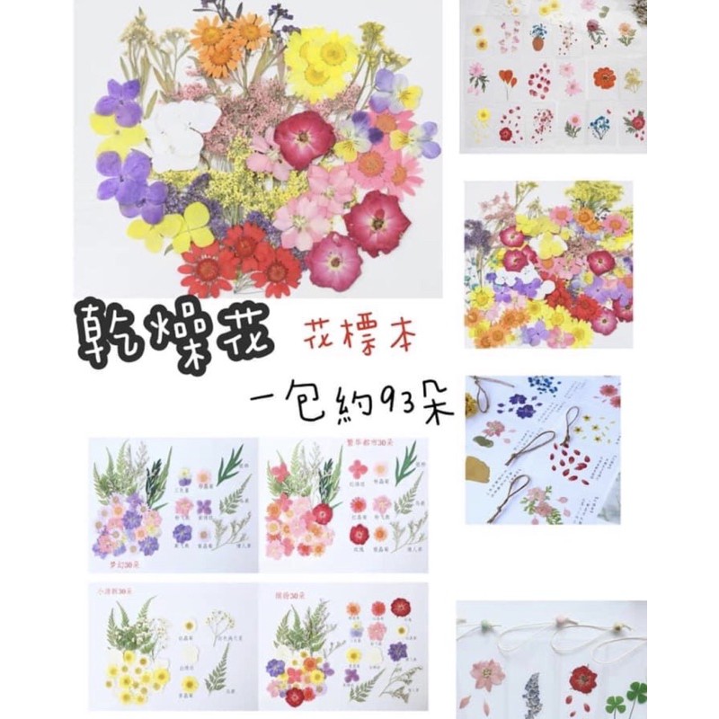 乾燥花材料包 花材料包 花標本 花教學 蝦皮購物
