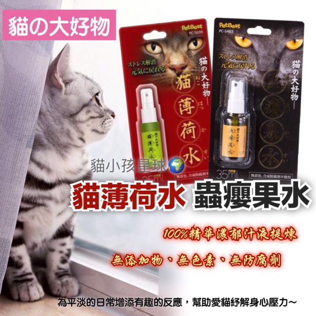 貓大好物蟲癭果水貓薄荷水100 天然無添加 無著色 無防腐貓 蝦皮購物