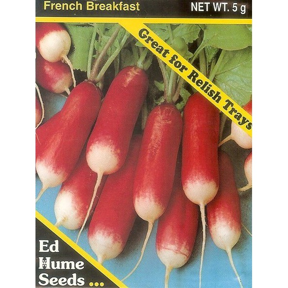 【大包裝蔬菜種子L352】法國早餐迷你蘿蔔，好漂亮的白蘿蔔品種，特別推薦！