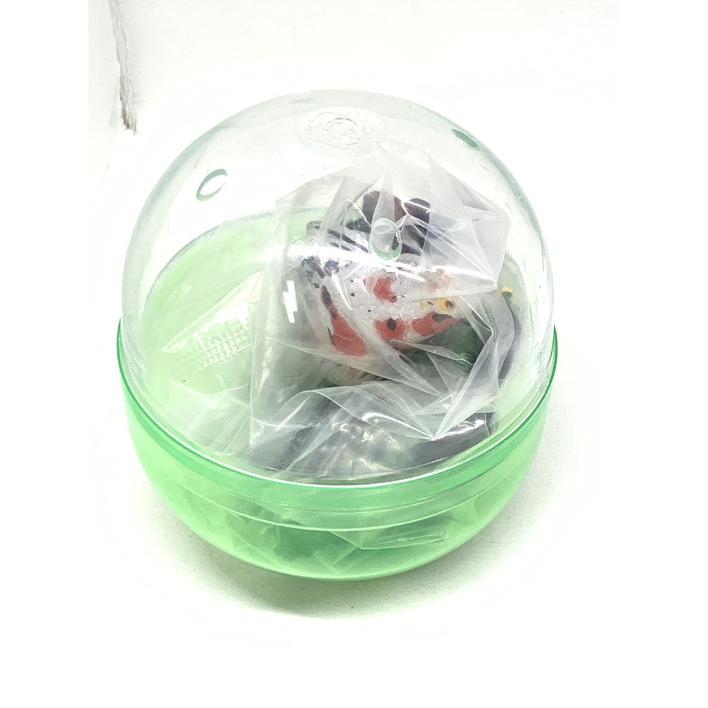 現貨beam 金魚立體圖鑑金魚觀賞魚立體金魚全八種珍珠鱗蘭壽丹頂頂天眼水泡眼擬真轉蛋扭蛋 蝦皮購物