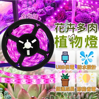 【蝦皮隔日到貨】USB植物燈條 全光譜多肉補光 室內水培/魚缸/陽臺園藝 IP65防水 1-5米可選 自動定時 節能省電