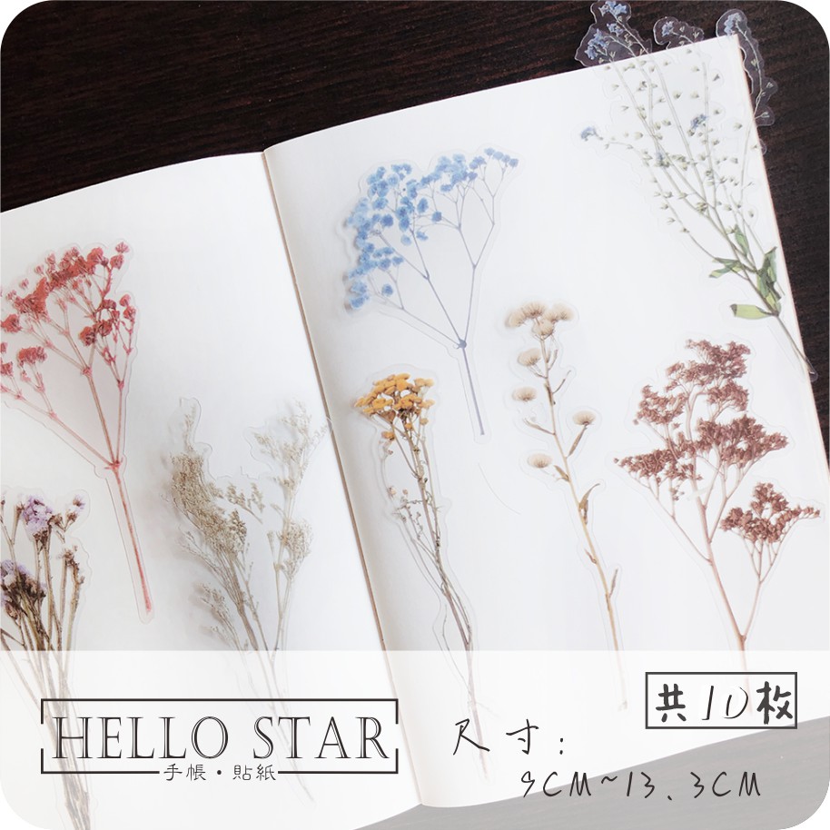 Hello Star 手帳 貼紙開幕慶 乾燥花系列森林系透明質感植物滿天星乾燥花手帳拼貼裝飾素材質感手帳貼紙 蝦皮購物