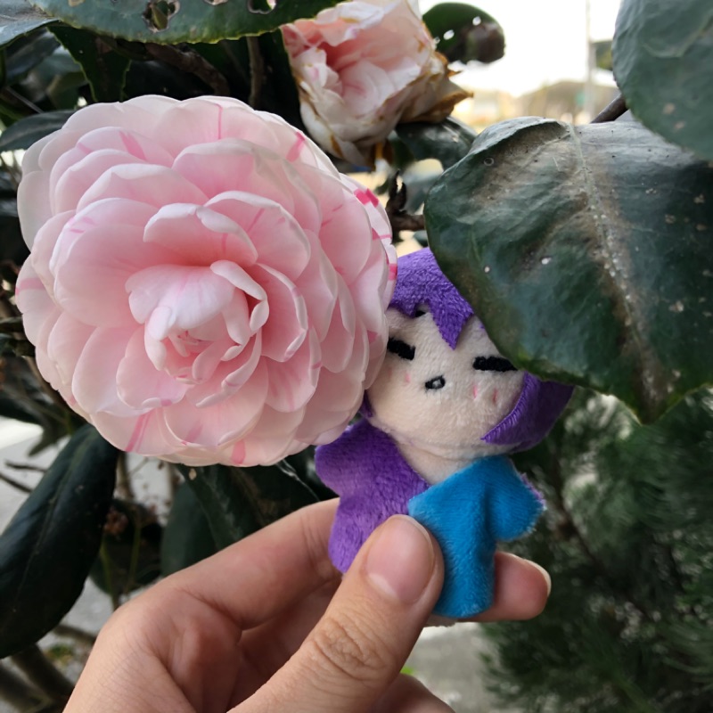 手作娃娃動漫娃娃棉花娃糰子訂製客製手縫 蝦皮購物