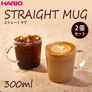現貨💗日本製 Hario 時尚耐熱玻璃杯組 咖啡杯 熱飲杯 馬克杯 玻璃杯 禮盒裝