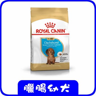 ROYAL CANIN 法國皇家《臘腸幼犬PRDJ30》1.5kg