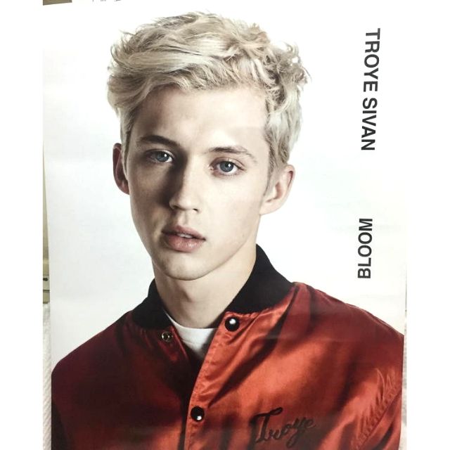 特洛伊希文 特洛伊 Troye Sivan 綻放 Bloom 宣傳海報 專輯海報 海報
