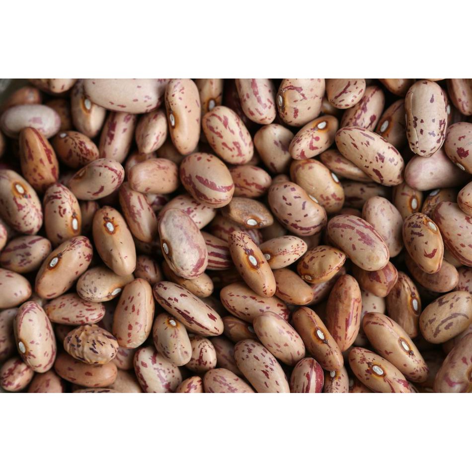 花豆600g Ptt Dcard討論與高評價網拍商品 21年9月 飛比價格