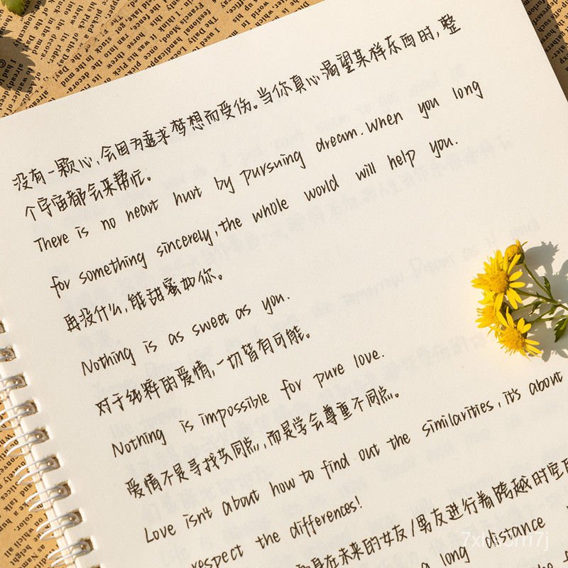 練字本 中英速寫英語奶酪體升級字帖楷書初高中生練字情書翩翩非衡水字帖練字鋼筆練字本xhn5 蝦皮購物