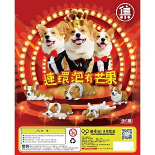 連環泡有芒果扭蛋--林金多