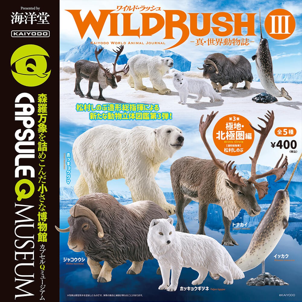 海洋堂wildrush 真世界動物誌第三彈極地北極圈極地動物北極動物馴鹿麋鹿扭蛋轉蛋 蝦皮購物