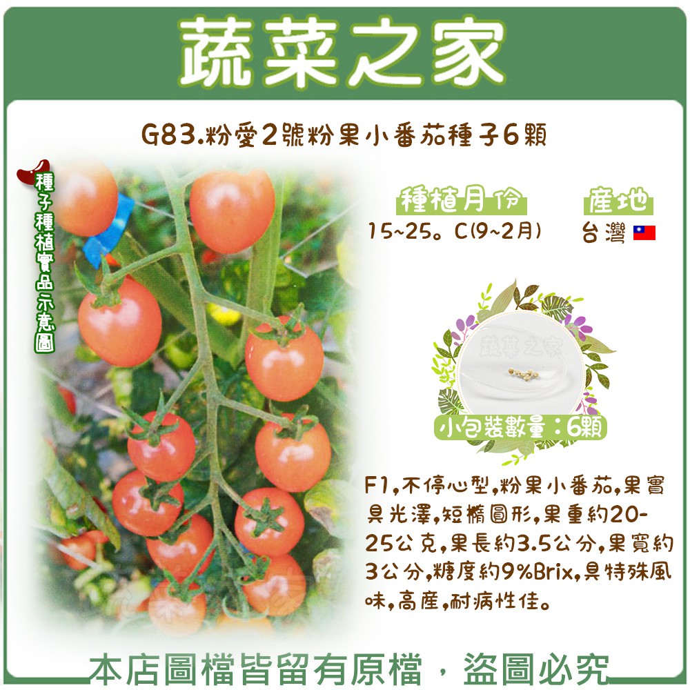 【蔬菜之家滿額免運】G83.粉愛2號粉果小番茄種子6顆(F1,不停心型,果實具光澤,短橢圓形,果長約3.5公分,果寬約3