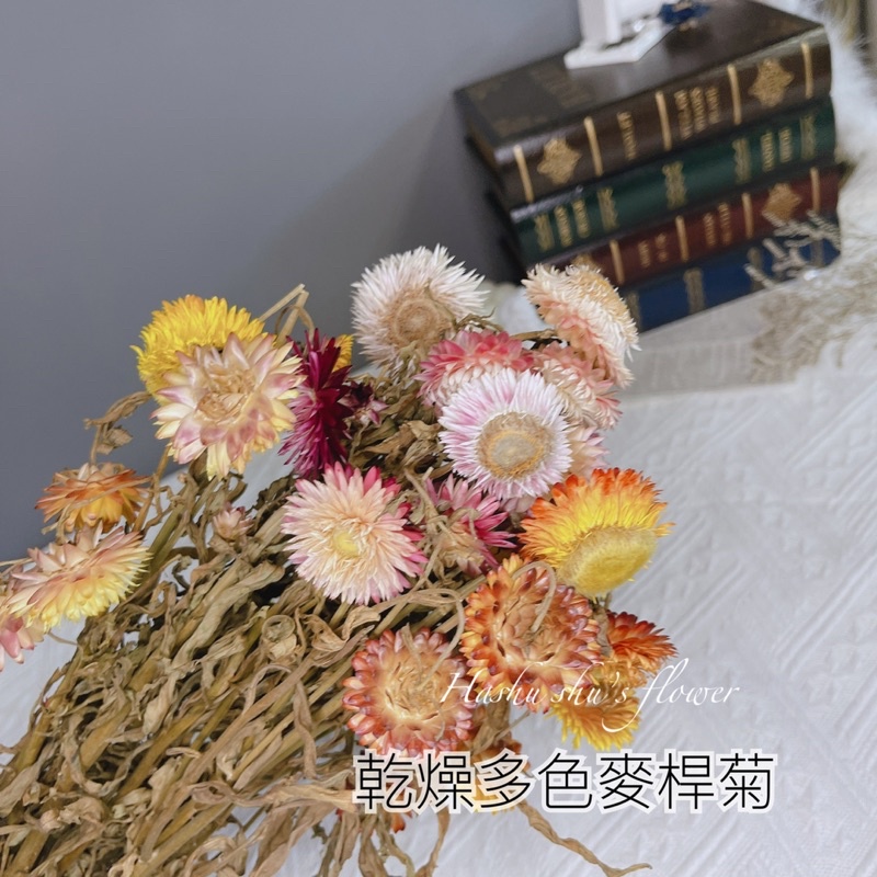 現貨 乾燥麥桿菊多色麥桿菊乾燥花材乾燥花乾燥花材料乾燥花束材料短支乾燥花花材料包花藝材料乾燥花頭