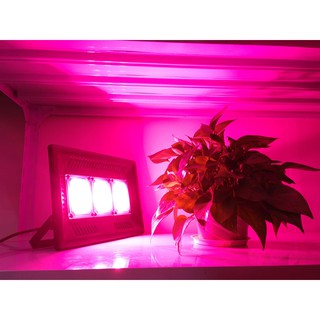 ◤AMO LED◢150W 防水植物燈 全光波植物燈