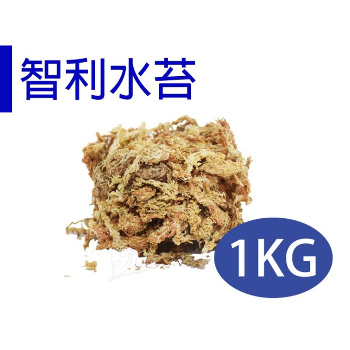 【醬米資材】蘭花必備栽種介質 保濕保水 / 智利水苔1kg分裝包(此商品為5KG切下非1KG原裝包介意者勿下單)