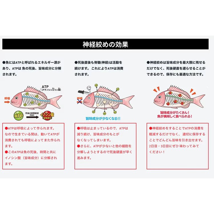 獵漁人 日本化工lumica 神經絞殺器魚貨安樂死 蝦皮購物