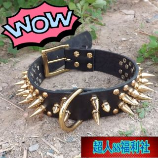 黃金甲鉚釘項圈-牛皮款 中大型犬惡霸項圈牛皮項圈皮革項圈惡犬項圈軍犬項圈大型犬中型犬鐵鍊牽繩金屬牽繩寵物用品角色扮演道具