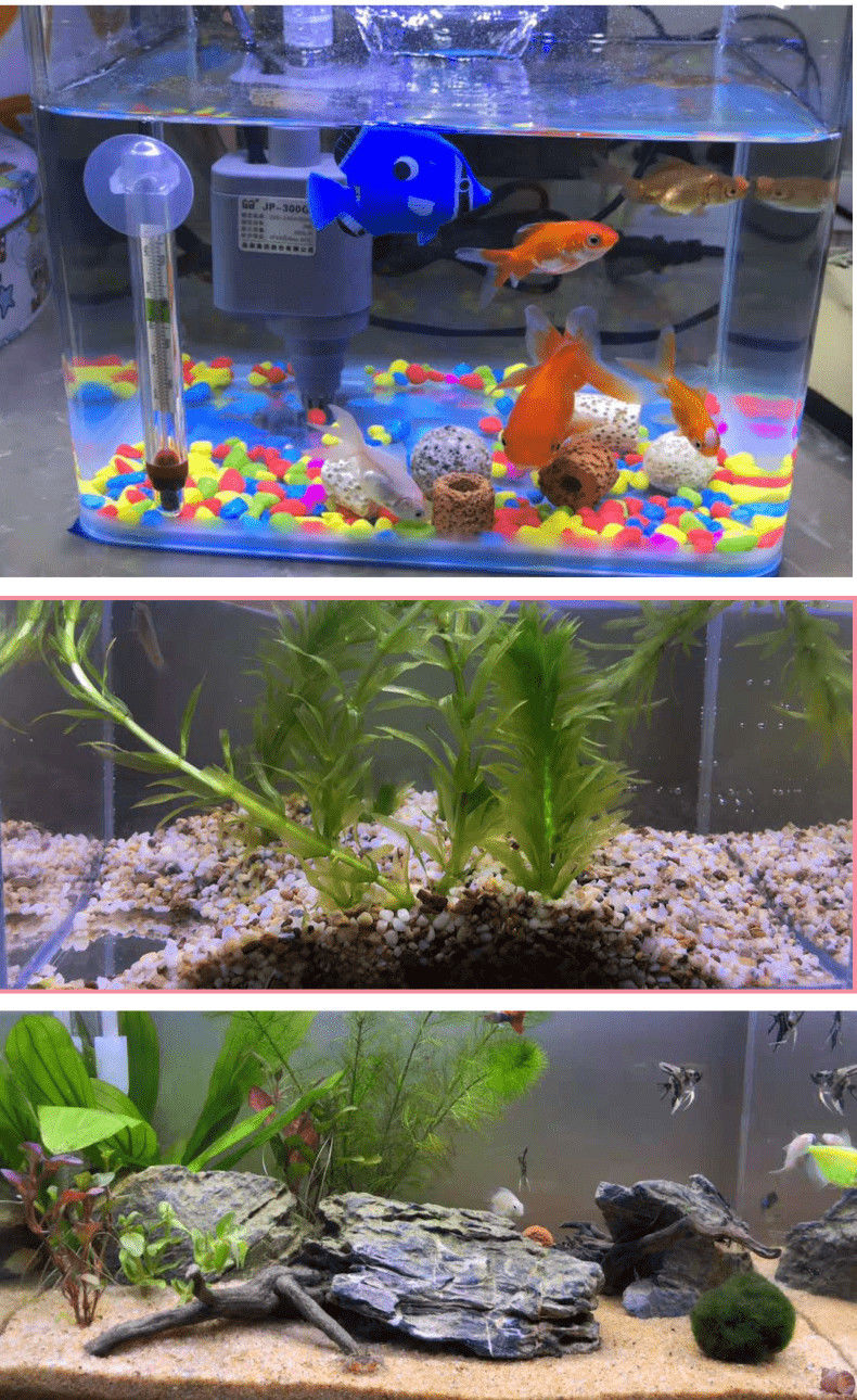 蝦皮熱賣 暢銷 魚缸底砂天然五彩石頭小白石子烏龜用河沙雨花石草缸水族箱造景 蝦皮購物