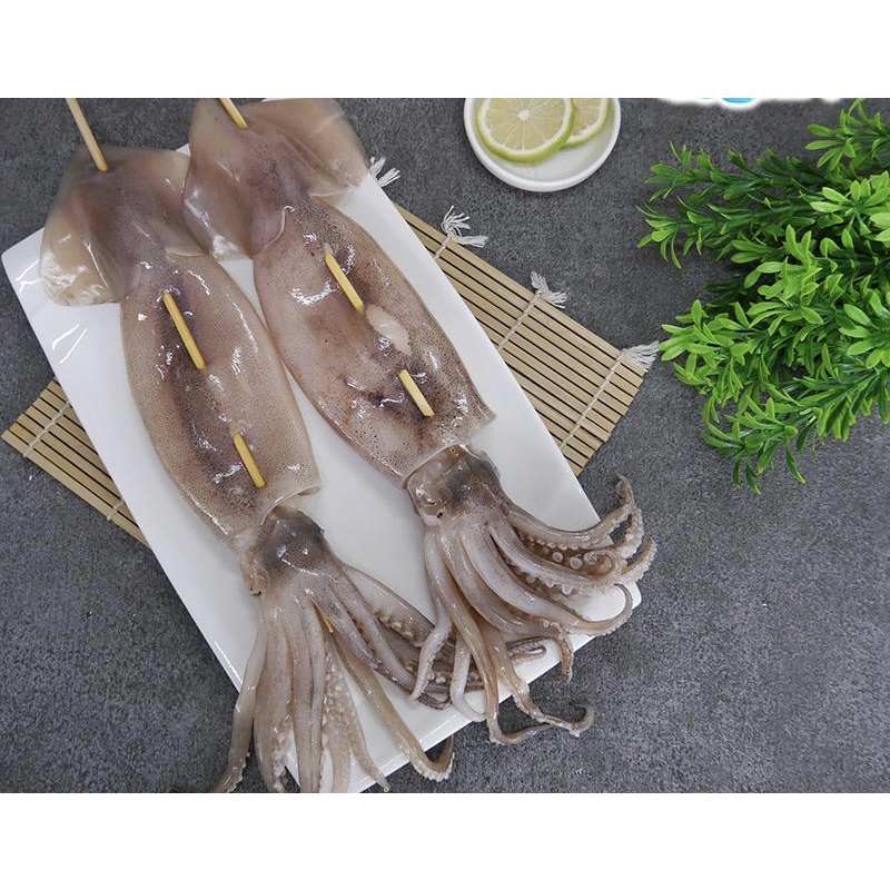 阿根廷魷魚🦑 XL每隻350-400克🔥歡迎批發團購私訊詢問