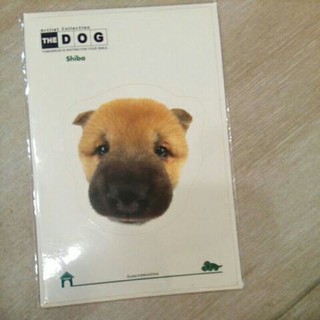 The Dog大頭狗 貼紙 信封