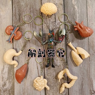 ⭐喔啦玩具店⭐人體 器官 造型 鑰匙圈 吊飾 掛飾 獵奇 解剖 心臟 大腦 老玩具 玩具公仔 器官