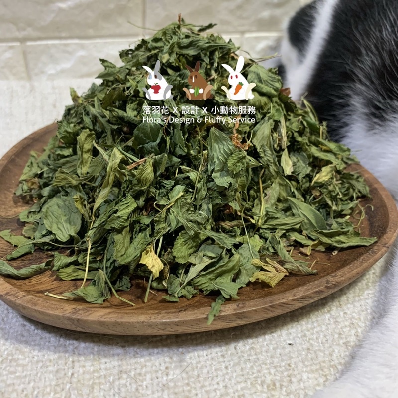 落羽花x 全葉紫花苜蓿草x 佐食妊娠哺乳幼兒老年老弱病鼠兔營養高蛋白草食系兔子天竺鼠龍貓 蝦皮購物