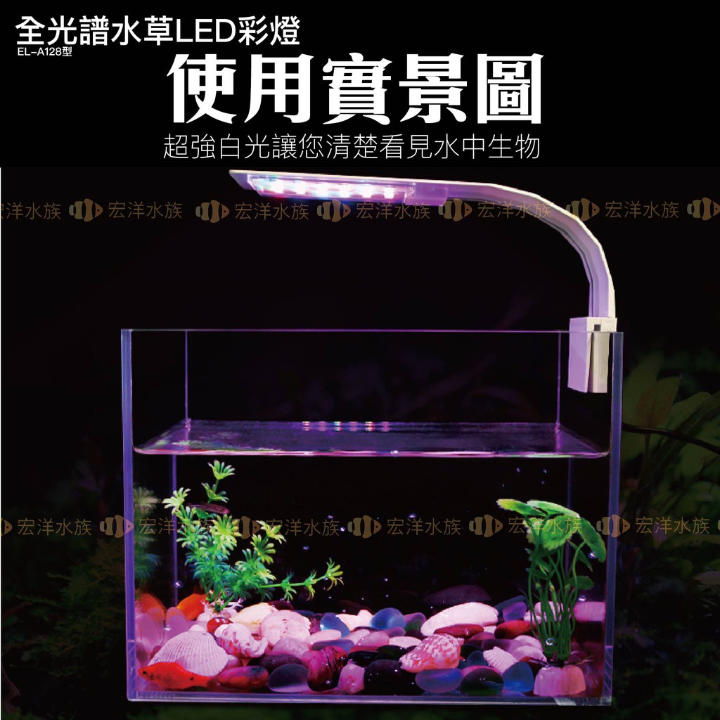 宏洋水族 超薄led系列 水族燈 水草缸 水族夾燈 增艷燈 魚缸 魚缸夾燈 Led夾燈 水族燈 水草燈 全白燈 蝦皮購物