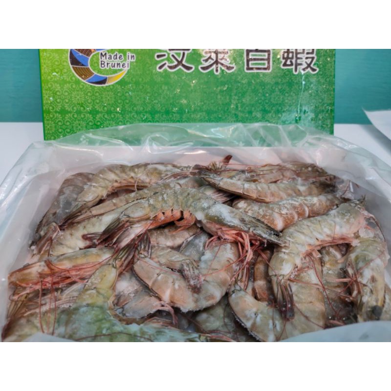 汶萊皇室御用 🦐🦐🦐汶萊白蝦600g+-10%/盒
 規格4/5 （約25-27隻左右）

