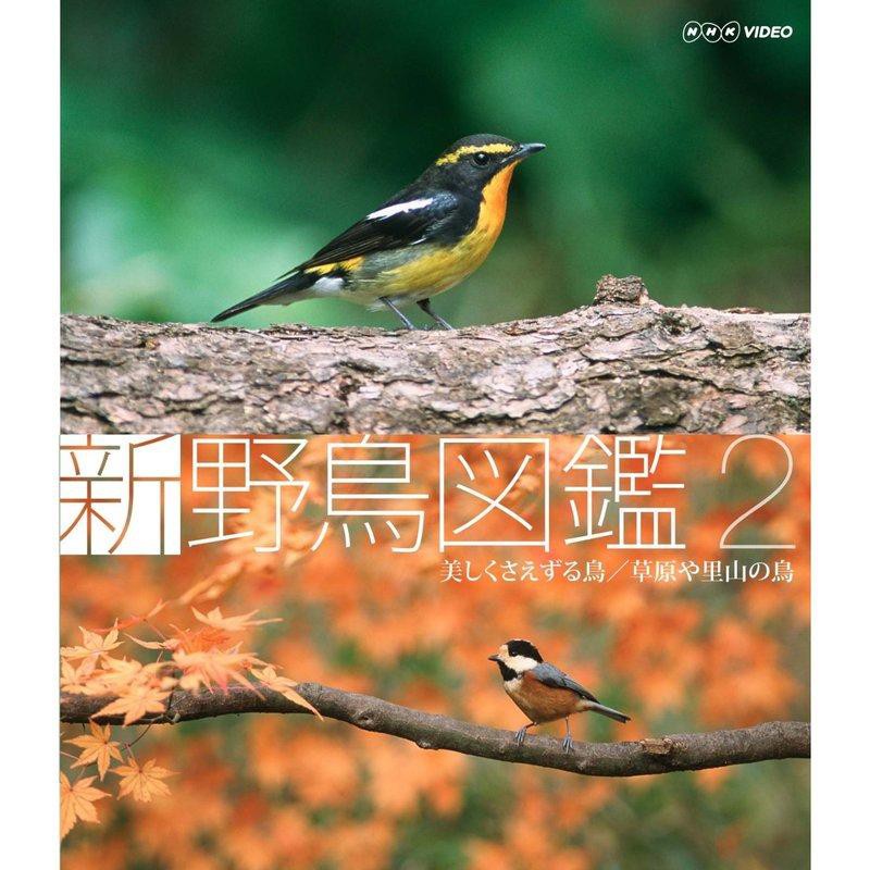 【藍光光碟】 新野鳥圖鑑2 (日本進口版)　//全新商品// B12