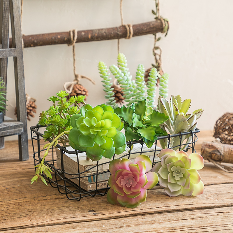 裝飾仿真花假花裝飾單支多肉植物客廳擺設花藝盆栽花束家居室內擺件 蝦皮購物