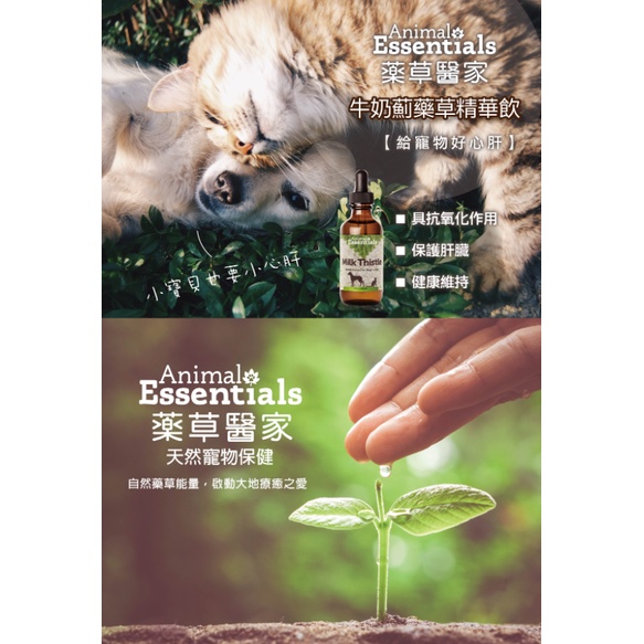 ❤️Rubi寵物百貨❤️ 免運商品 藥草醫家 Animal Essentials 藥草精華飲/牛奶薊 犬貓適用