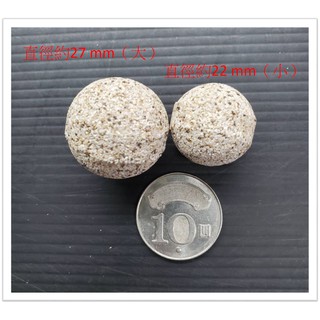 [安安水族] 鐳力 Leilih 秒吸圓球 多孔濾材（單顆）培菌球 過濾 濾材 陶瓷 上部過濾 圓桶 水草缸