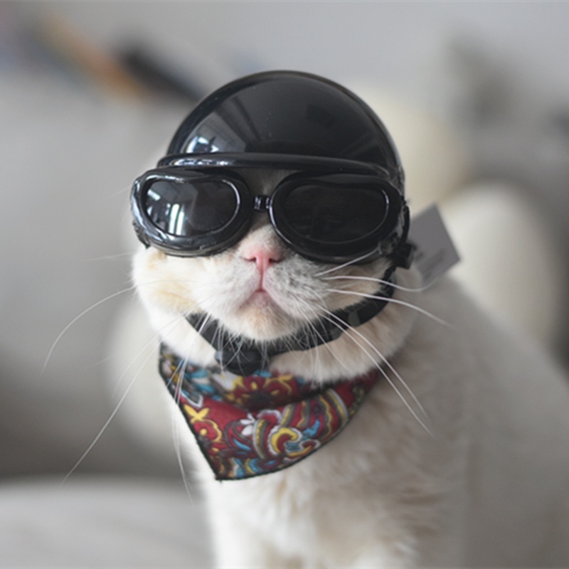 貓咪頭盔 寵物機車哈雷摩托帽子 安全英短狗狗小型犬太陽鏡防風配飾 安全帽遮陽小型犬專用
