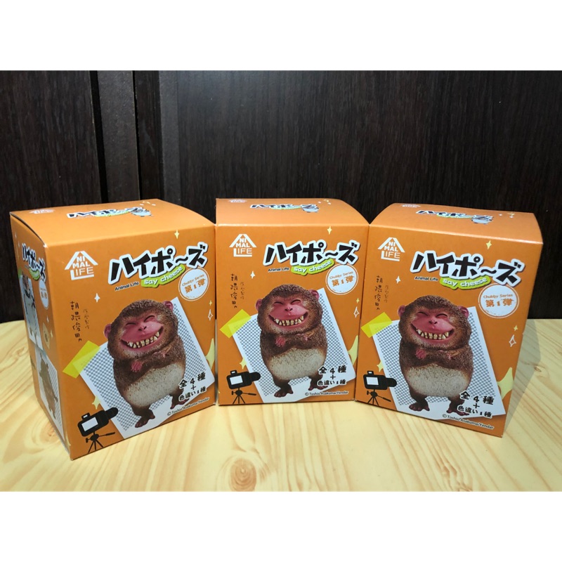 盒玩朝隈俊男animal Life 圓滾滾讓你笑開懷第一彈猴子大象河馬 蝦皮購物