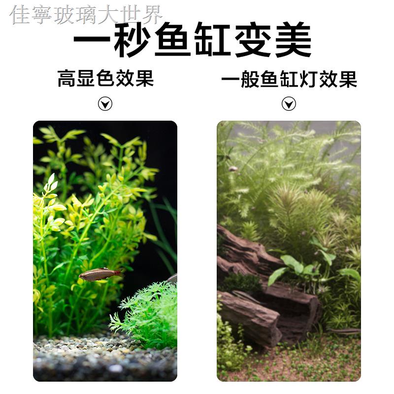水草架 Ptt Dcard討論與高評價網拍商品 21年9月 飛比價格