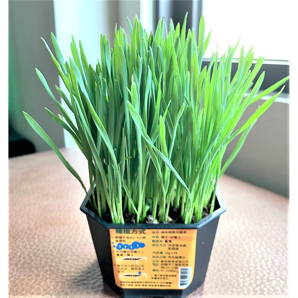 植物栽培蛋 優惠推薦 21年6月 蝦皮購物台灣