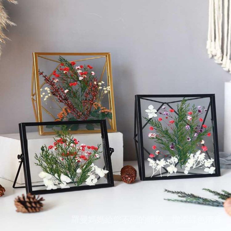 新品現貨乾花畫框花標本框昆蟲植物標本金屬壓花相框桌面裝飾畫框 蝦皮購物