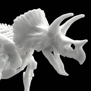【華泰玩具】BANDAI 萬代 恐龍組裝模型 LIMEX骨骼 三角龍/5061660