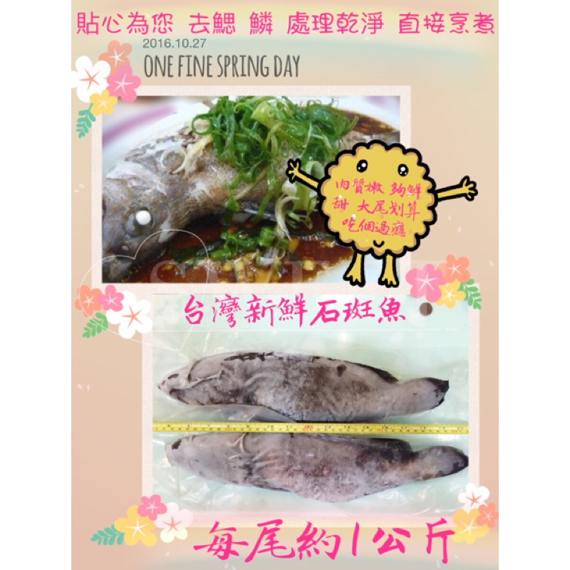 台灣 大尾 石斑魚 新鮮 處理好 冷凍宅配