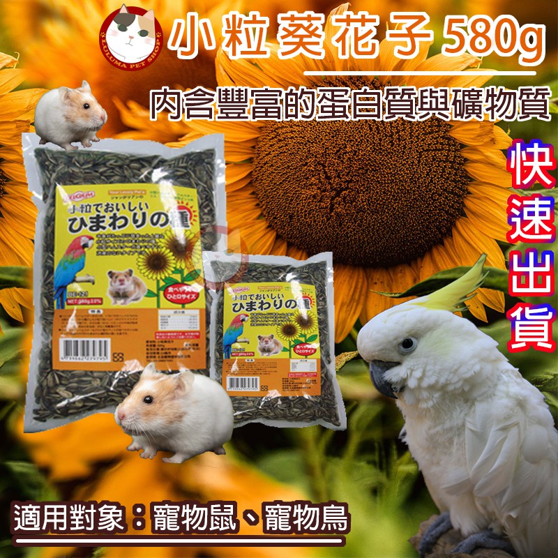 小粒葵瓜子 快速出貨 大粒葵瓜子葵瓜子鳥 鸚鵡 倉鼠 三線鼠 黃金鼠 零食點心 Canary Belgium 蝦皮購物
