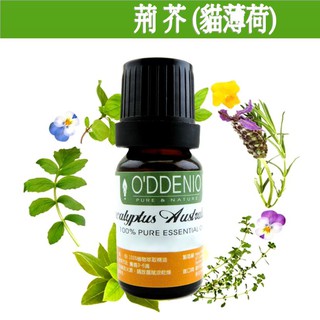 《歐丹尼》【10ml-50ml荊芥純精油(貓薄荷/貓草)】優質單方純精油系列Catnip