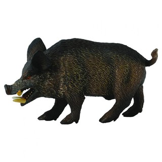 COLLECTA動物模型 - 公山豬 < JOYBUS >