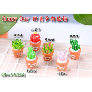 【陽臺多肉花園】Sunny Day 模擬多肉盆栽 模擬綠色植物 盆栽仙人掌 包包掛件小禮品