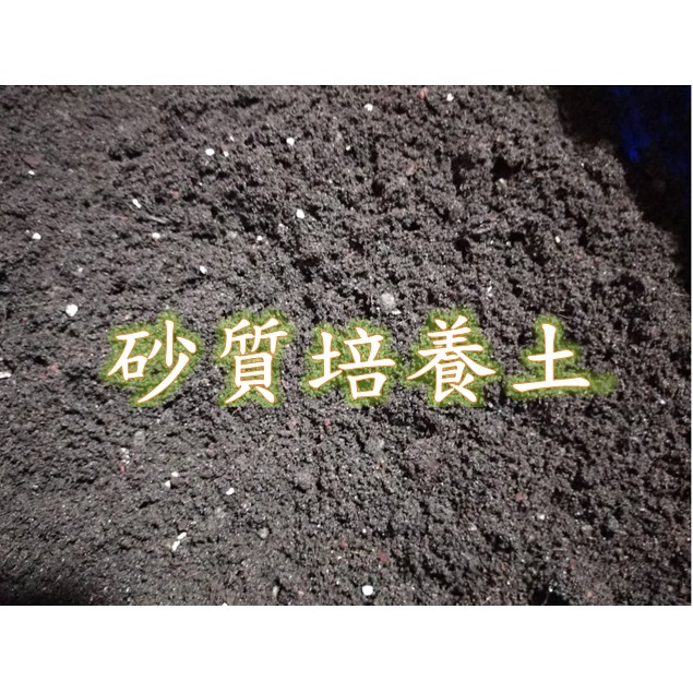 萬用土【砂質培養土】砂質栽培土🔸8公升每公升16元 /超取上限8公升 💎適合各種花草、蔬菜、水果、樹木...等種植